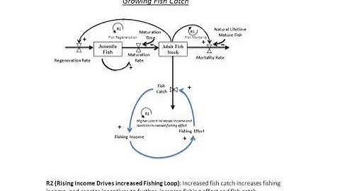 Fishery Causal Loop Diagrams
