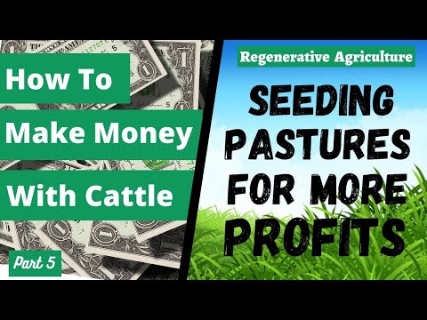 HOW TO MAKE MONEY WITH CATTLE | Seeding Pastures For More Profits