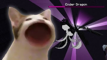 Pop Cat Speedruns Minecraft