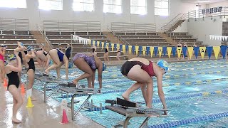 Wayzata Swim \& Dive Working Together to Stay Near the Top Of Class AA