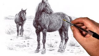 how to draw horses in a field with a biro pen