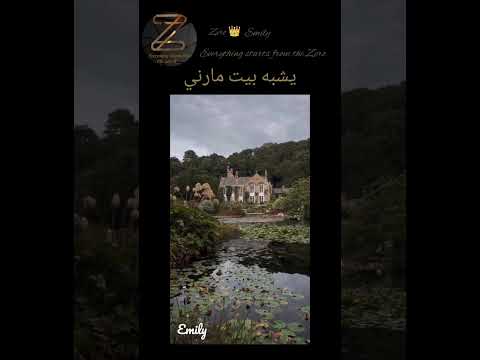 يشبه بيت مارني