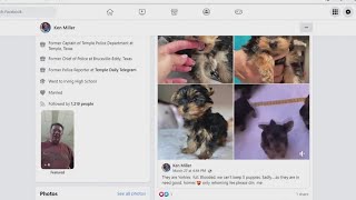 Hackers using fake Facebook accounts to target puppy lovers in scam