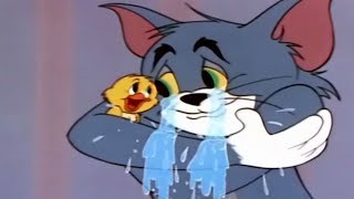 Tom and Jerry - That's My Mommy - Tom and Jerry Episode 97