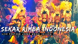 Sekar Rimba Indonesia  Perform  Dukuh Bugel Jambe Wangi Secang Magelang