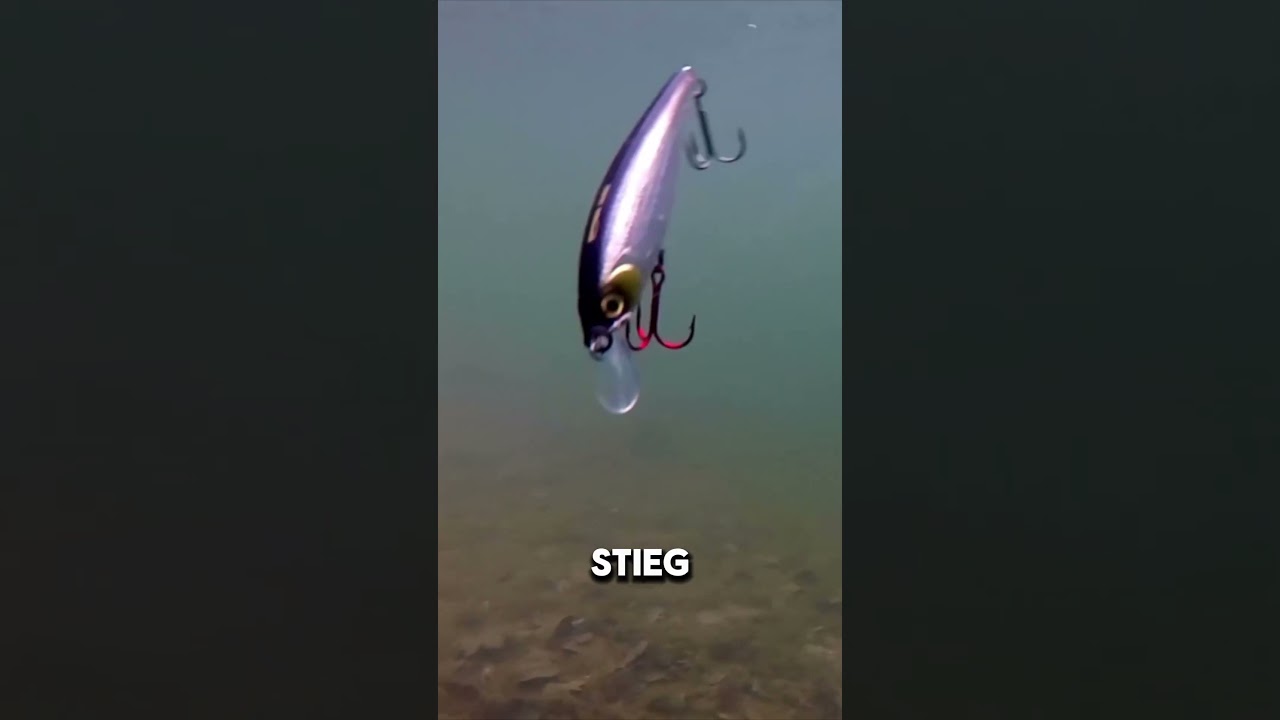 Interessanter Fang am Forellenteich 👀