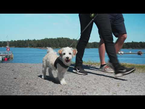 Made by KAMU Espoo City Museum, this film presents the Pentala Archipelago Museum as a summer day trip where a sea crossing, island history and nature belong to one visit. It complements the Nuuksio and Tapiola videos by showing the maritime side of Espoo. The museum and public boats operate seasonally, so the film is best used for inspiration rather than as a current timetable. Confirm the museum season and boat departures with the City of Espoo before travelling.