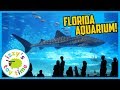 FLORIDA AQUARIUM WITH THE FAM! Family Vacation VLOG AND SPLASH PAD!