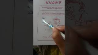 unboxing ink eraser