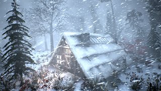BRUTAL RUSSIAN WINTER with EXTREME February COLD and snowstorms for sleeping. SEVERE WINTER STORM