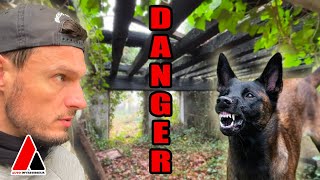 Acheter un maison BRULEE et ABANDONNEE ? (Urbex)