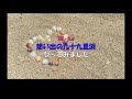 【夏ノリsong♪】Mi-Ke　想い出の九十九里浜　歌ってみました（宅録）