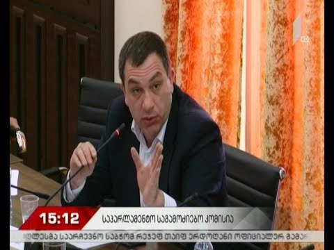 არასრულწლოვნების საქმეზე საგამოძიებო კომისიის სხდომა მიმდინარეობს