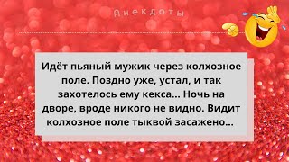 Анекдоты! Подборка Смешных Анекдотов для Отличного Настроения! Юмор! Смех! Позитив! Выпуск 22