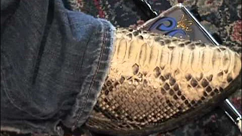 Zvex VEXTER SERIES Wah Probe guitar effects pedal demo