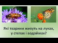 Які тварини живуть на луках, у степах і водоймах? ЯДС. 3клас. Візняк А.В.