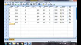 الحلقة الثانية: كيفية إدخال البيانات على برنامج SPSS وكيفية جمع الدرجات