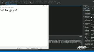 VB simple input and output program
