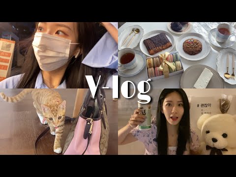 VLOG 일상 브이로그ㅣZOOM 화상수업•달의 연인 정주행하면서 돈까스&냉모밀•넷플릭스 보면서 혼맥•연희동 아멜리 티 하우스•마라탕 먹은 일상