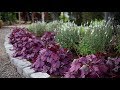 Planting a New Flowerbed // Garden Answer