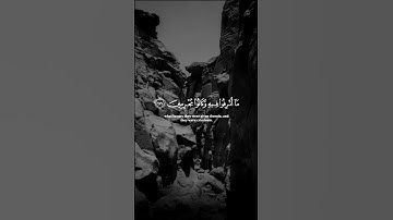 سورة هود | الاية 115 - 119 | القارئ إسلام صبحي #قرآن_كريم  #إسلام_صبحي #راحة_نفسية