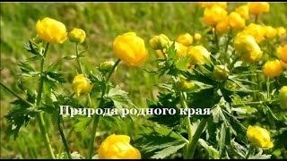 Природа родного края