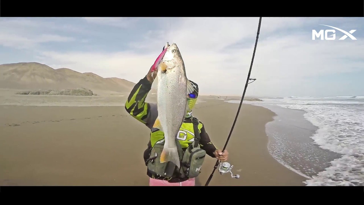 venta de carnada krill linear unit lima