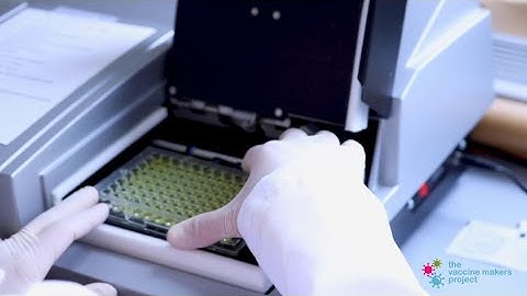 A Look inside the Lab: ELISA Plate Reader - Vaccine Makers Project