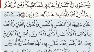 القرآن الكريم سورة المائدة من الآية  44 وحتى الآية 48