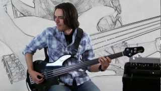 Gotye * Somebody That I Used To Know * Bass Cover