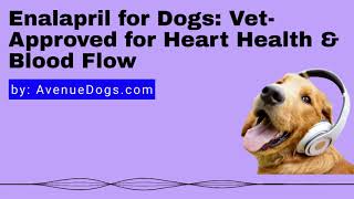 Enalapril for Dogs: Vet Approved for Heart Health and Blood Flow