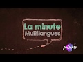 La minute multilangues vol 1