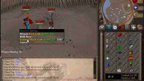 RitzScape Tutorial  (Making money, AND training skills) (Part 1/2)