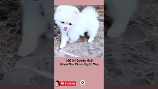 MC Kỳ Duyên Nhờ Khán Giả Chọn Người Yêu | #shorts