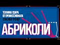 СВОЯКИ ОТ БОРТА ИЛИ ПРИНЦИПЫ АБРИКОЛЕЙ