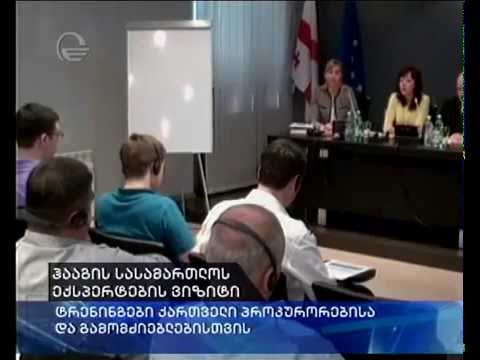 ჰააგის სასამართლოს ექსპერტები საქართველოს პროკურატურაში