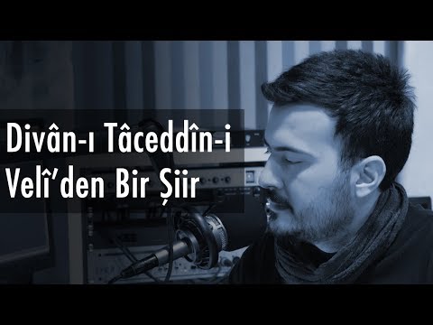 Taceddîn-i Velî -