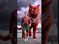 This Magic Cat Chose Ronaldo 😹⚽ You Won’t Stop Laughing!#ronaldo #goat #funnysports