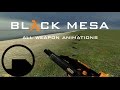 Black Mesa Steam ALL Weapon Animations