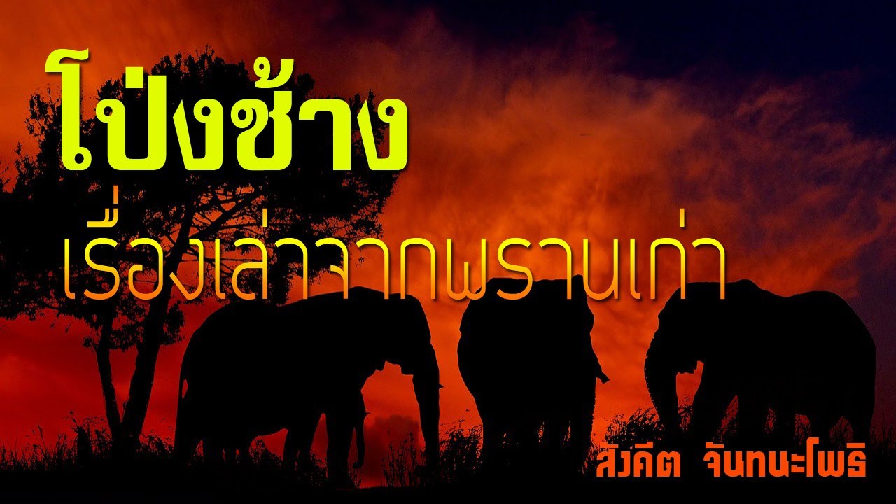 โป่งช้างล้ม | เรื่องเล่าจากพรานเก่า