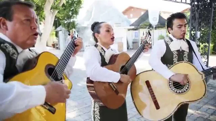 Great Mariachi Band | Los Salazar | Old World Hunt...