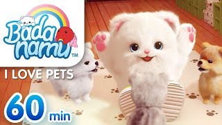 I Love Pets | Badanamu Compilation l Nursery Rhymes \u0026 Kids Songs