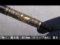 Pelikan ペリカン 万年筆 M700 トレド M