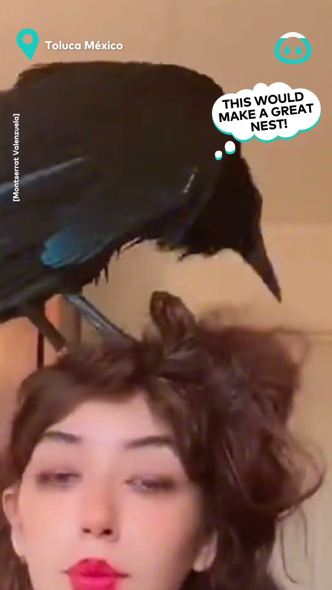Raven Hairstylist || ViralHog