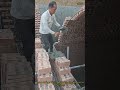 بناء الكهوف التقليدية شاهد مهارة الفلاحين في تشييد السقف المقوس 