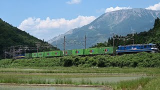 ＥＦ２１０－３５０牽引臨高速８０５６レ東海道本線柏原通過(2026.6.13)