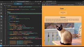 Fetching via Buttons & Links! (Recording for Code The Dream)