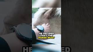 Wild Horse Rescued by Caring Driver shorts