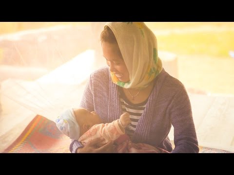 Video: Profil Dan Cabaran Malaria Dalam Penahanan Rintangan Artemisinin Di Myanmar