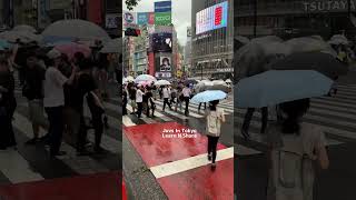 Rainy Day Tokyo Street Photography summer shorts